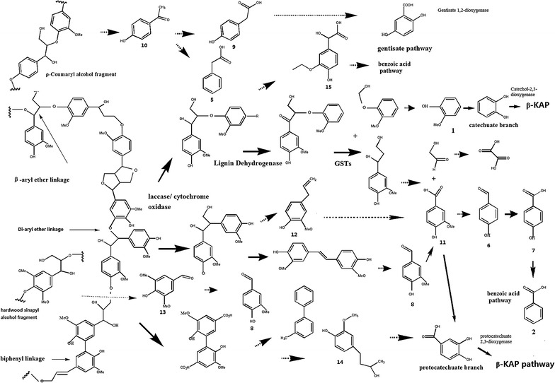 Fig. 6