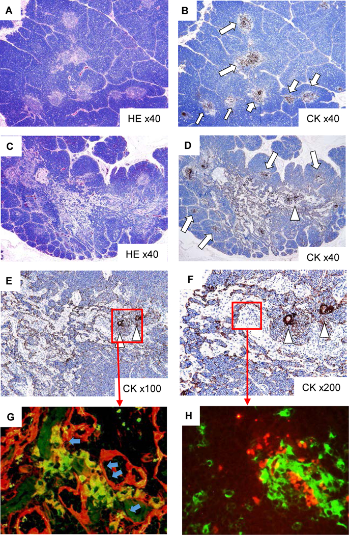 Fig 4: