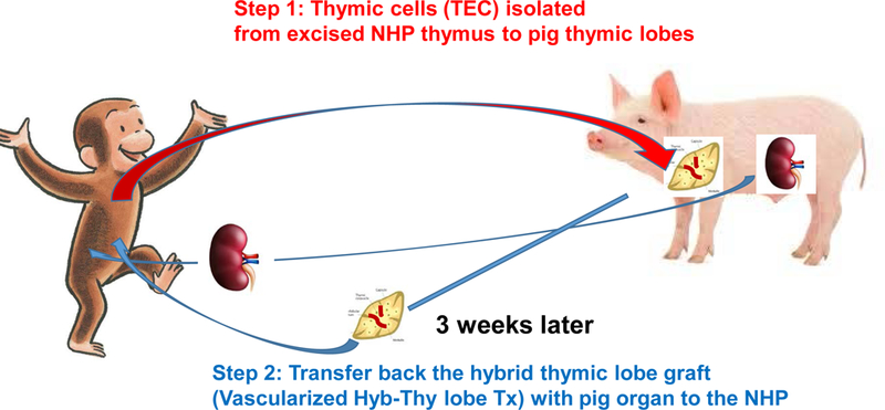 Fig. 9: