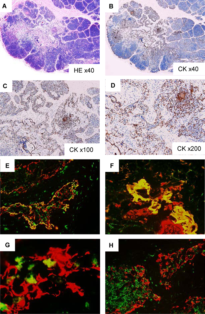 Fig 6: