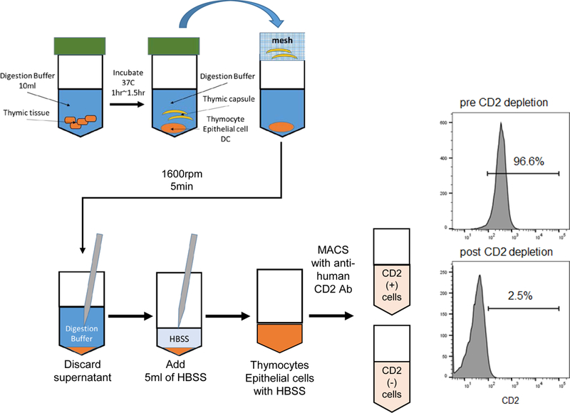 Fig 2: