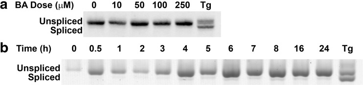 Fig. 11