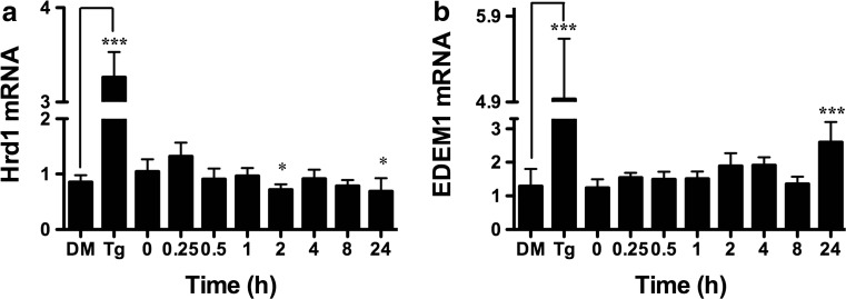 Fig. 12