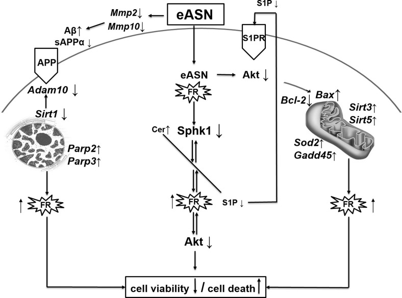 Fig. 8.