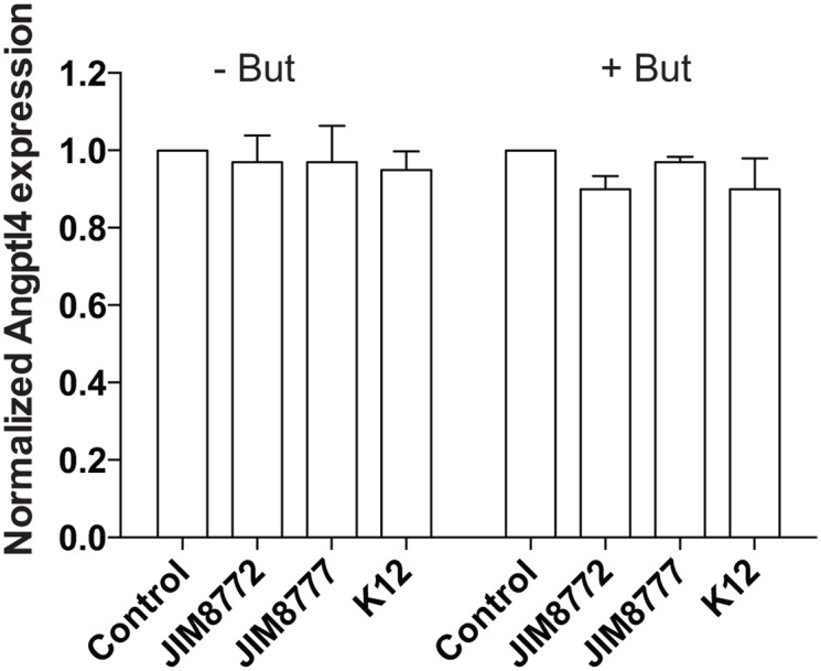 Fig 8