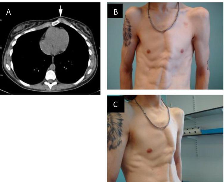 Fig. 5