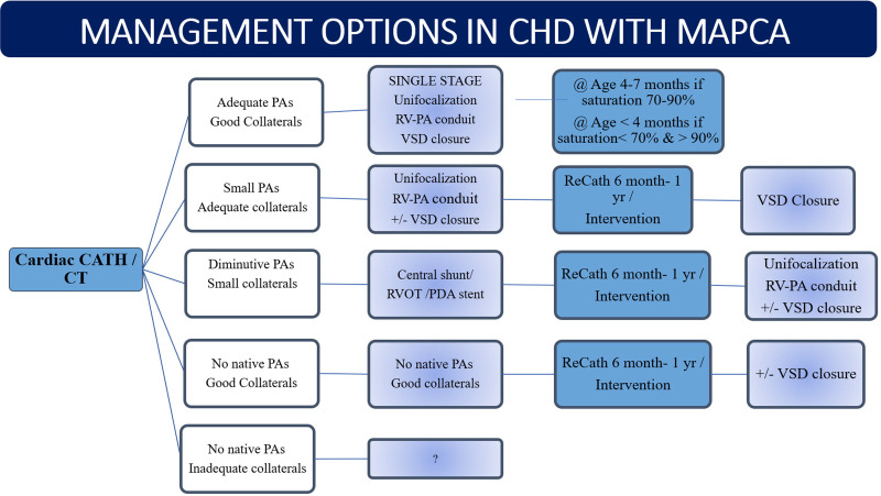 Algorithm for surgical management of congenital heart disease (CHD) in presence of major aortopulmonary collateral arteries (MAPCAs). A Nakata index of less than 100 mm2/m2 or McGoon ratio of less than 1.2 is considered for central shunt creation or right ventricle outflow tract or patent ductus arteriosus (PDA) stent placement. A reduced Qp/Qs of less than 1 is an indication for staging ventricular septal defect (VSD) closure. CATH = catheter, PA = pulmonary artery, Qp/Qs = differential flow through right and left pulmonary arteries, RV = right ventricle, RVOT = RV outflow tract.