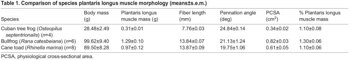 graphic file with name jexbio-224-243180-i1.jpg