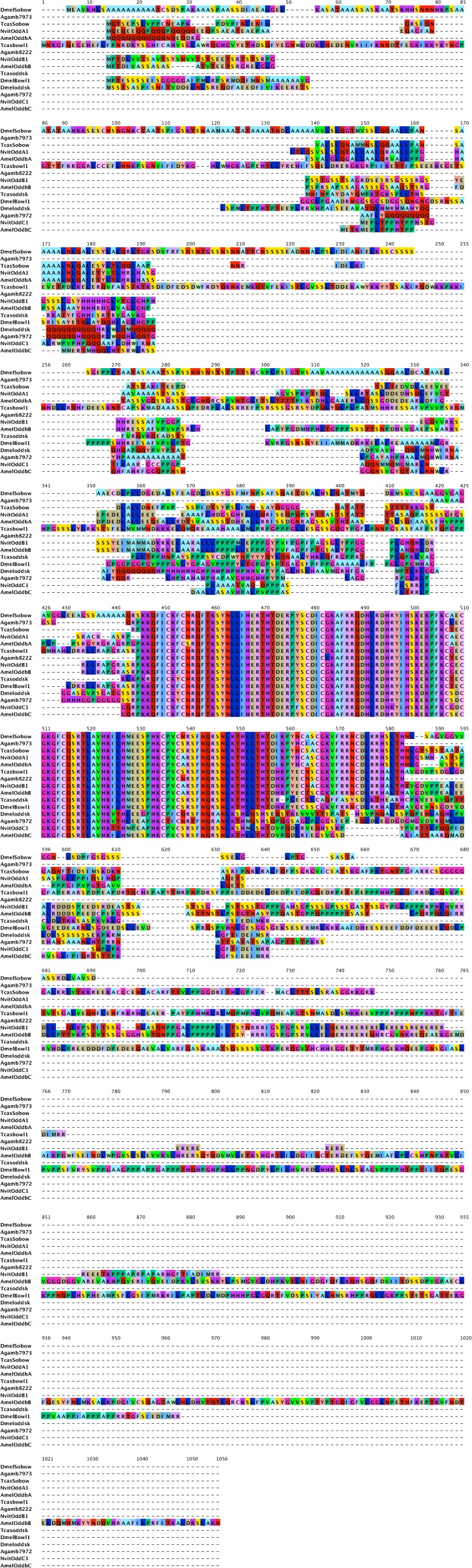 Figure 5—figure supplement 2.