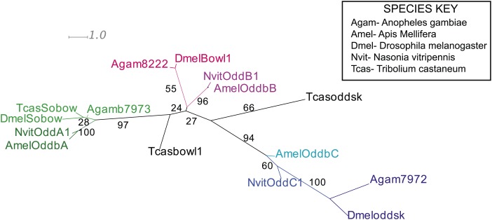 Figure 5—figure supplement 1.