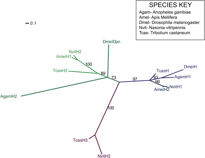 Figure 7—figure supplement 1.