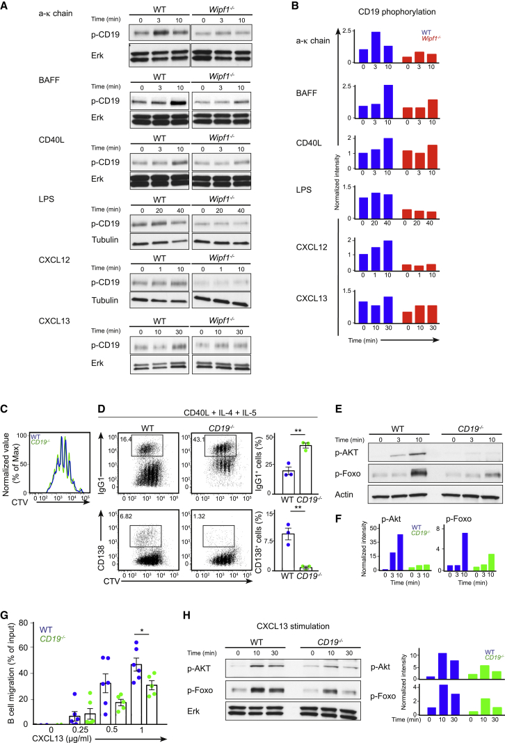 Figure 5