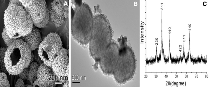 Fig. 1