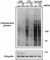 FIG. 11