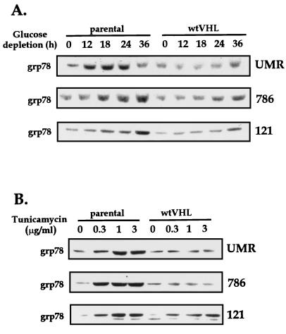 FIG. 10