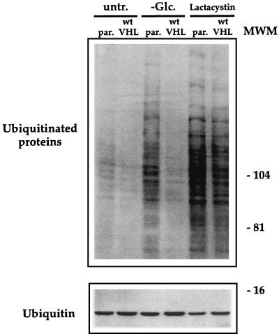 FIG. 11