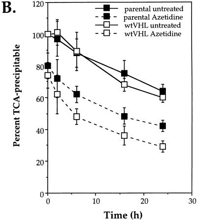 FIG. 12