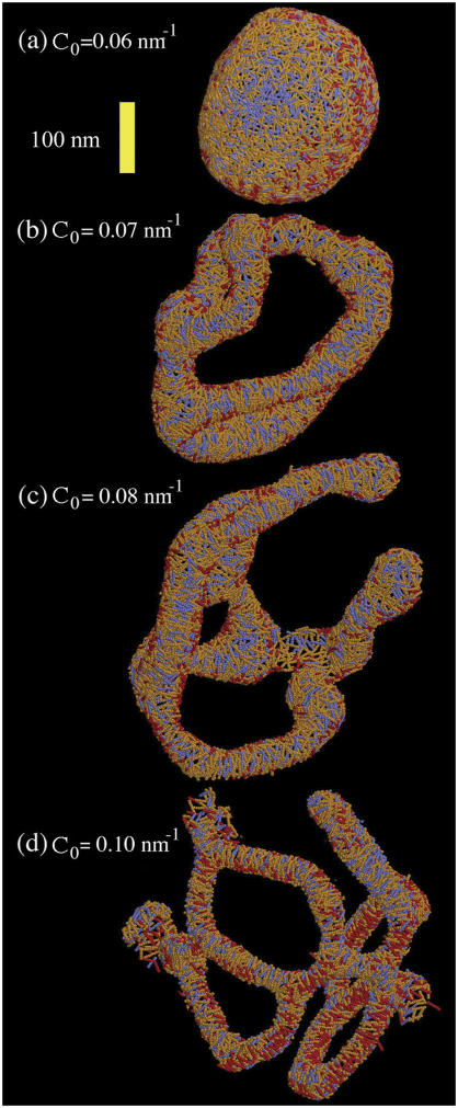 FIGURE 3