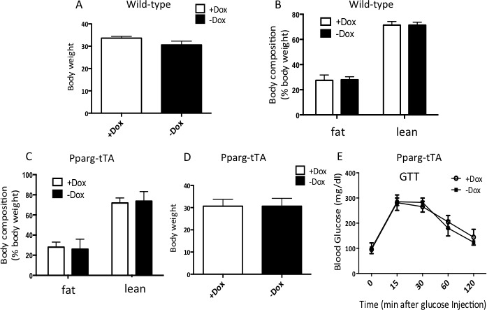 Figure 2—figure supplement 1.