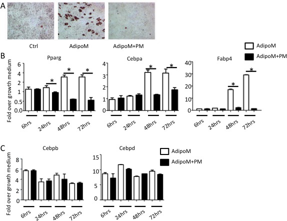 Figure 2—figure supplement 3.