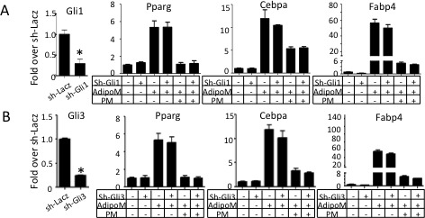 Figure 3—figure supplement 1.