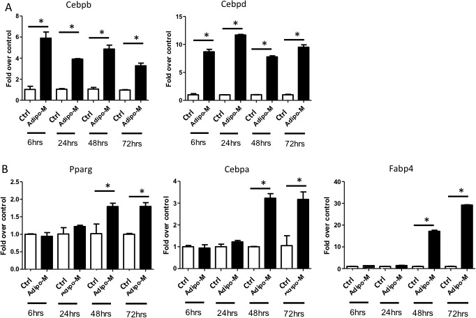 Figure 2—figure supplement 2.