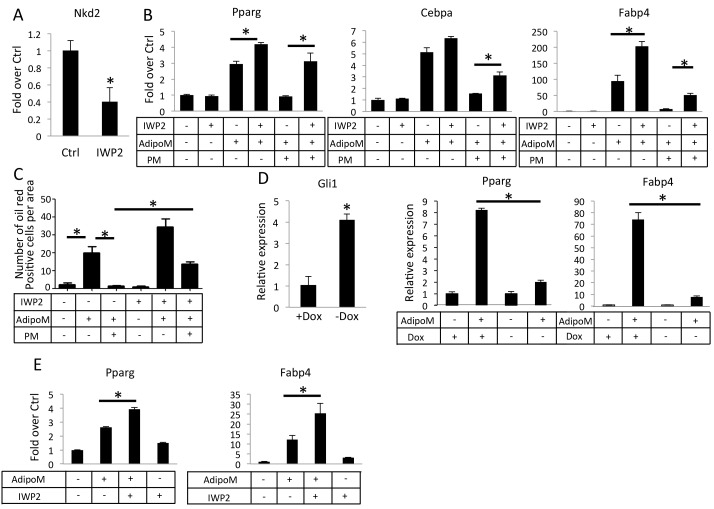 Figure 6.