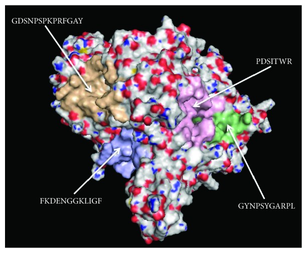 Figure 6