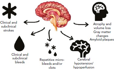 Figure 1: