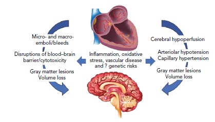 Figure 2: