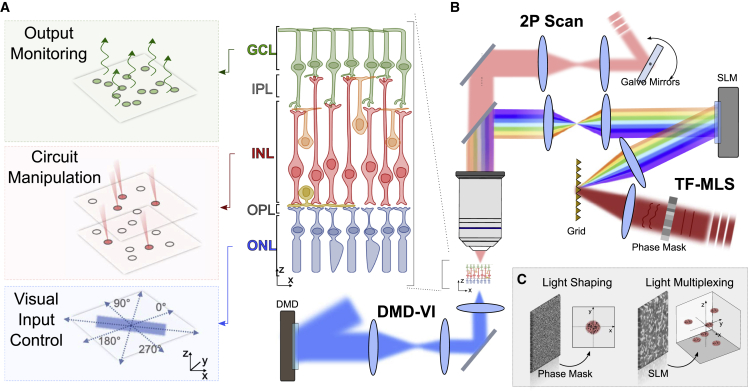 Figure 1