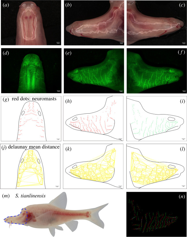 Figure 2. 