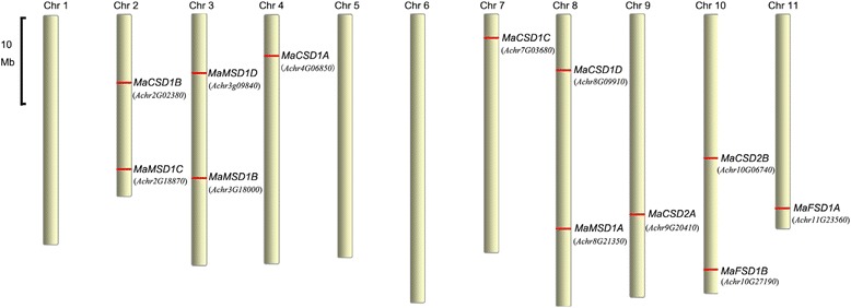 Fig. 5