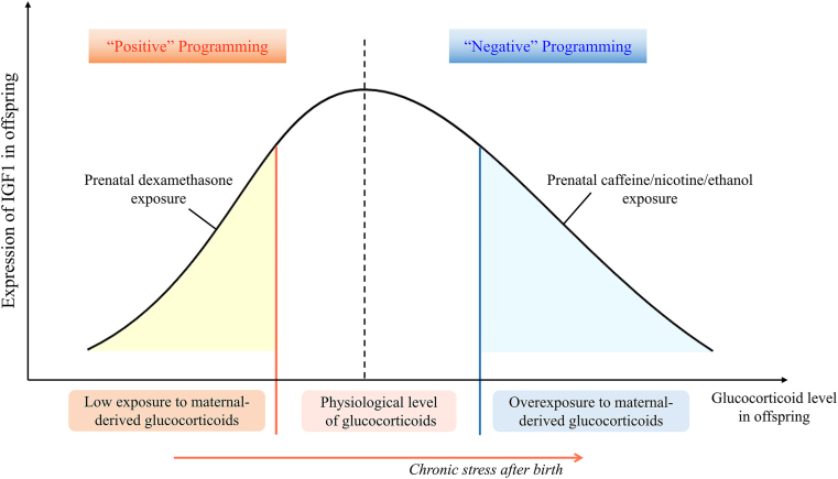 Figure 2