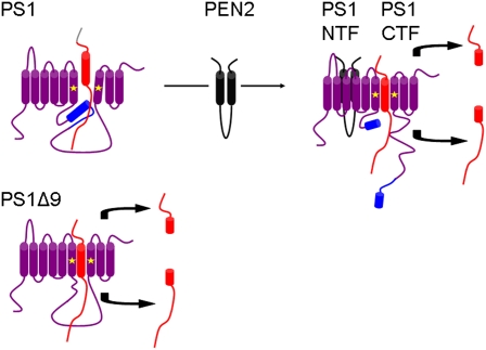 Fig. 1.