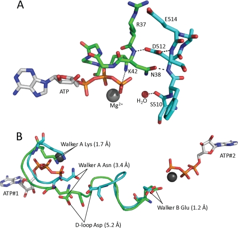 FIGURE 4.