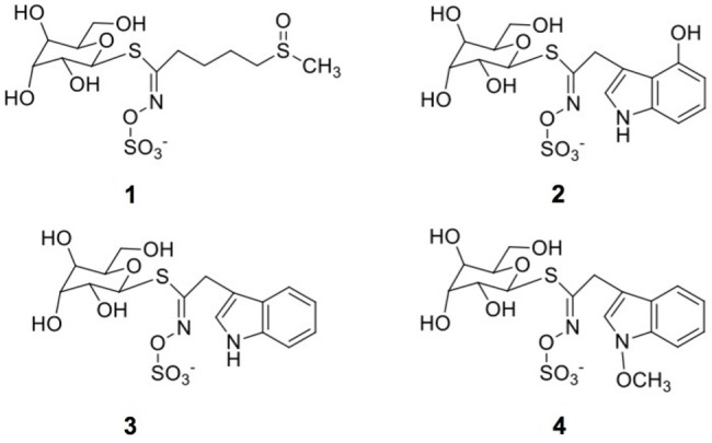 FIGURE 4