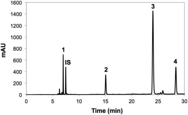 FIGURE 3