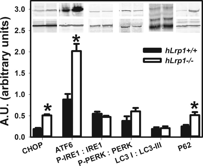 FIGURE 11.