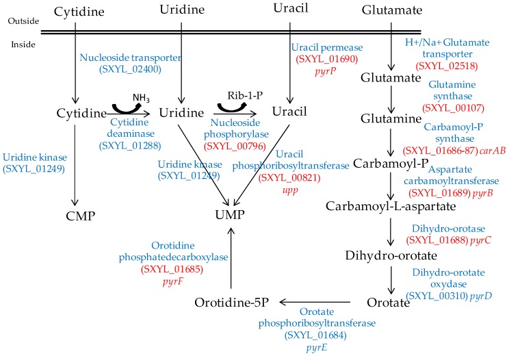 Figure 2