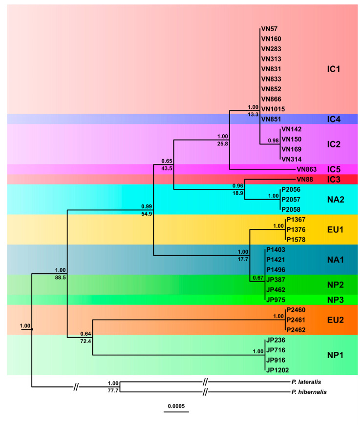 Figure 7