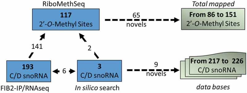 Figure 5.