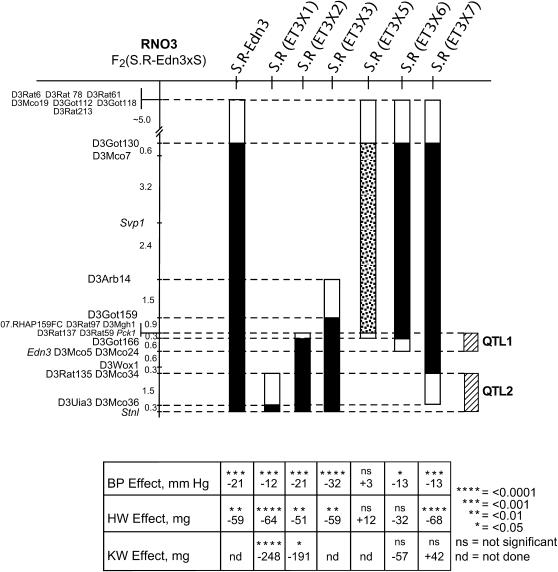 Figure 1.—