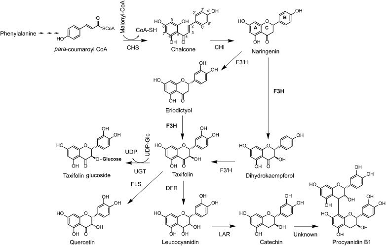 FIGURE 1