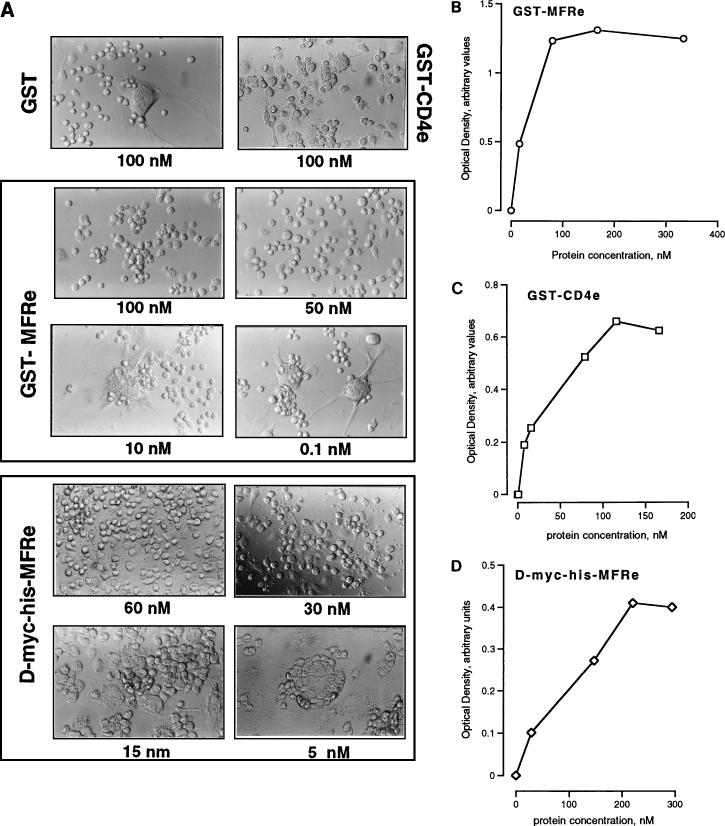 FIG. 7