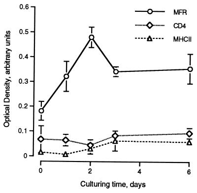 FIG. 6