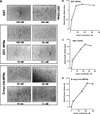 FIG. 7