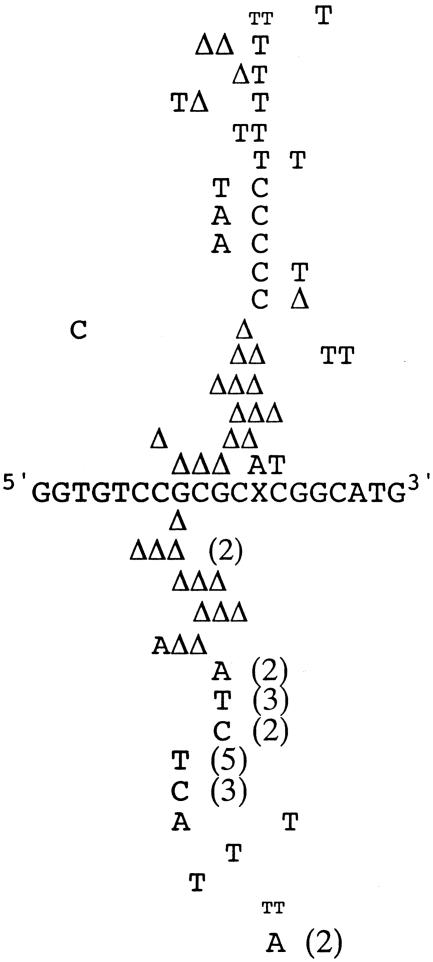 Fig. 3.