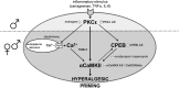 Figure 11.