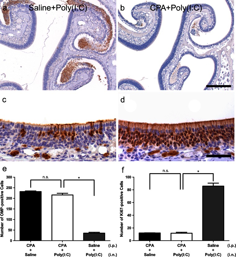 Fig. 15